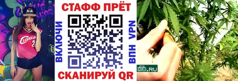 МЕФ Нововоронеж