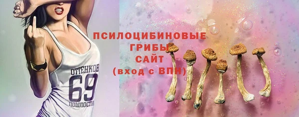 твердый Армянск