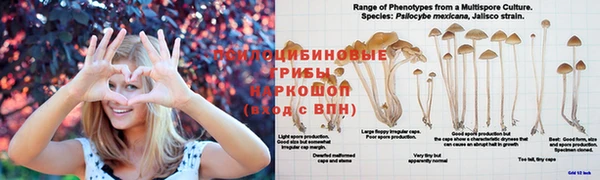 твердый Армянск