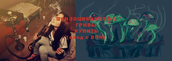 твердый Армянск