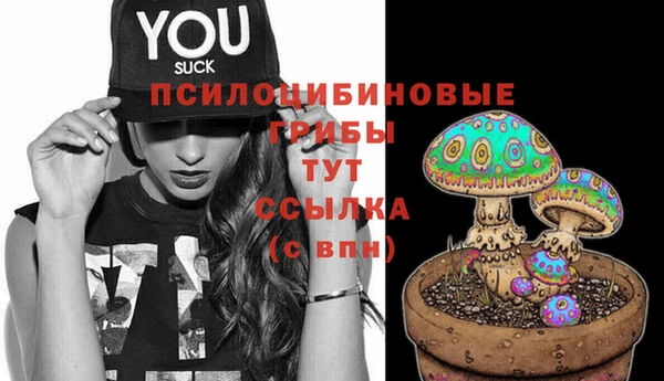 твердый Армянск