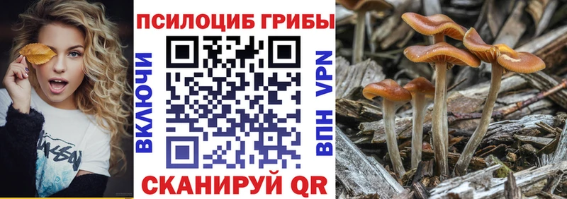 Псилоцибиновые грибы Psilocybine cubensis хочу наркоту Нововоронеж